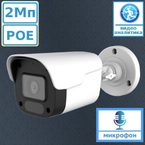 ICF23IR AltCam IP камера 2Мп с POE и микрофоном