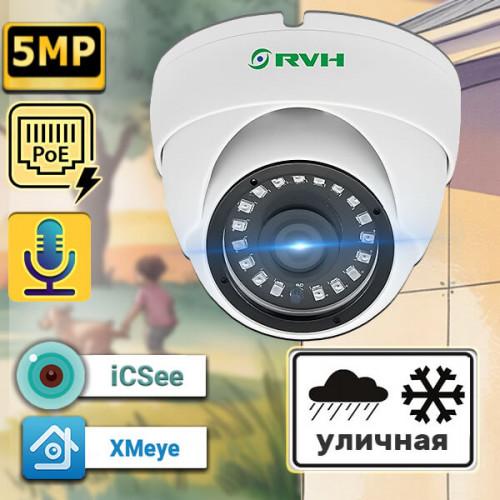 IP-камера RV-H24NIP500GF 5 Мп с PoE и купольным корпусом