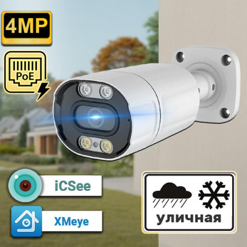 IP-камера RV-LN36NIP400G 4 Мп с PoE