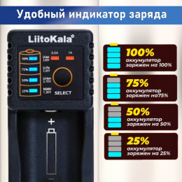 Зарядное устройство 18650/AA/AAA, 1А, USB, LiitoKala Lii-100