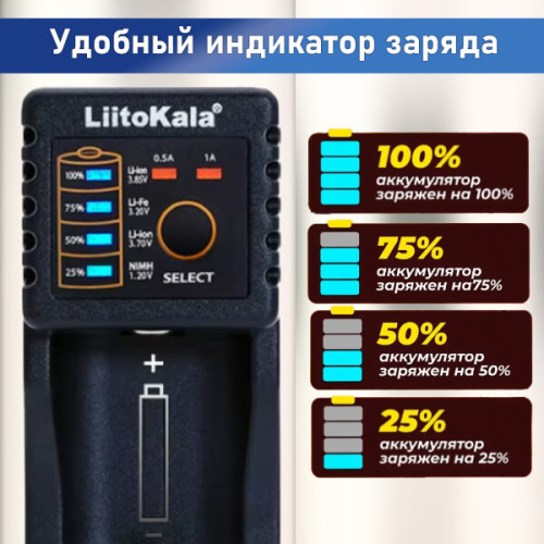 Зарядное для АКБ 18650 / АА / ААА на 1 слот Lii-100