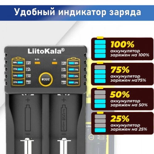 Зарядное для АКБ 18650 / АА / ААА на 2 слота Engineering Lii-202