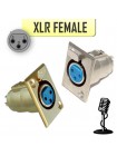 Разъем XLR 3pin гнездо, металл на корпус, Premier 1-531, 1-531G