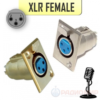 Разъем XLR 3pin гнездо, металл на корпус, Premier 1-531, 1-531G