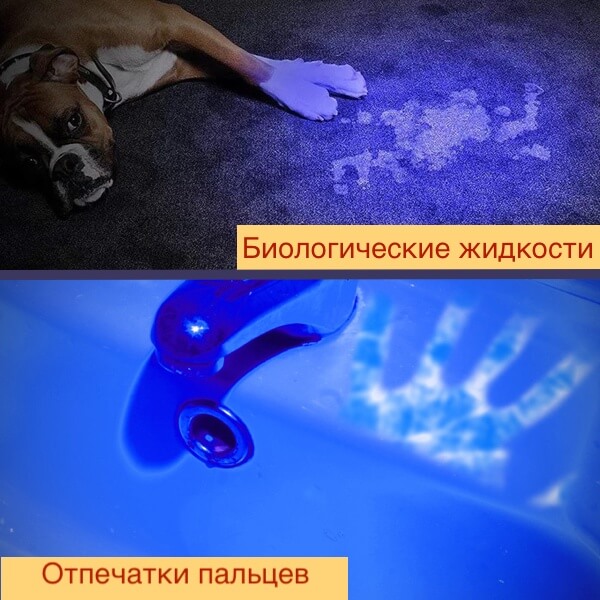 Ультрафиолетовый фонарик Следопыт ST-FLR13 купить в Екатеринбурге