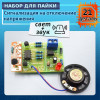 Сигнализация отключения питания 220V DIY набор с звуком и светом