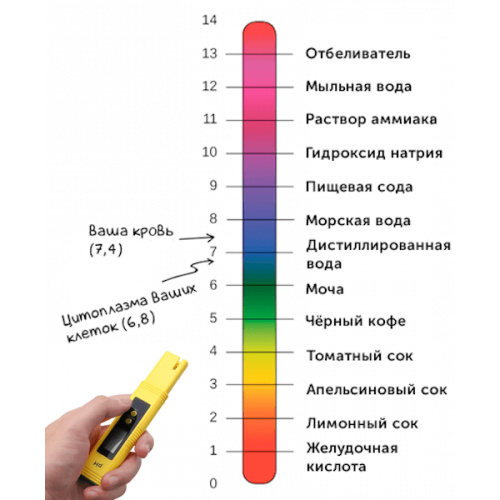 PH-метр для измерения кислотности жидкостей