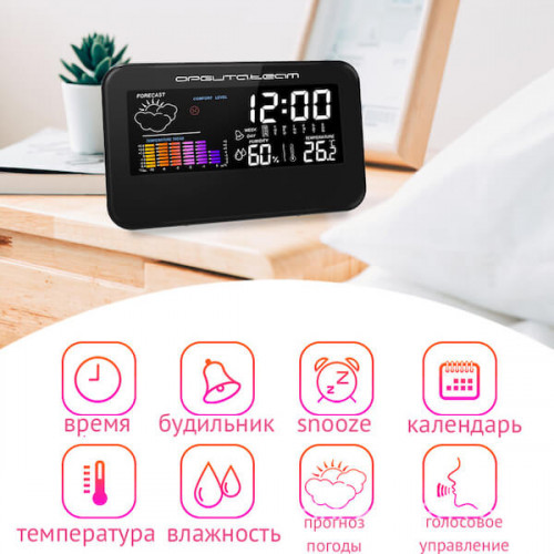 Термометр - гигрометр - часы, HOM29