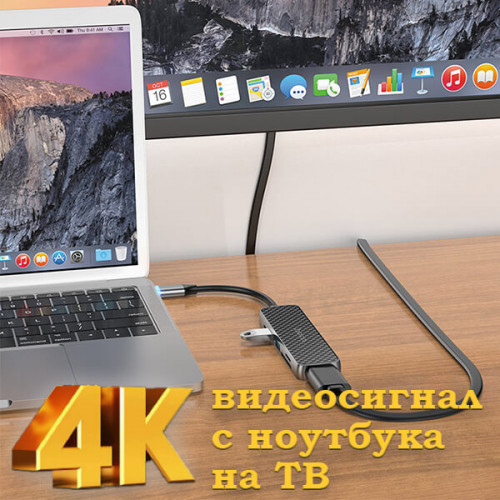 USB-С хаб (концентратор) USB 2.0/3.0 с подзарядкой Hoco HB24