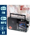 Радиоприёмник Fepe FP-1821BT с Bluetooth, 9 диапазонами, USB/SD и аккумулятором