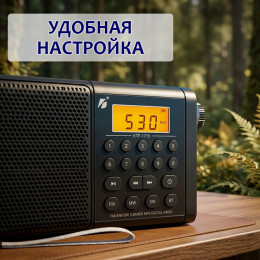 Радиоприёмник KBroad KTF-1715 с Bluetooth