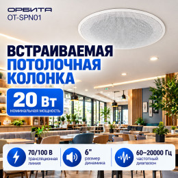 Потолочная колонка 20 Вт, 70/100 В, SPN01